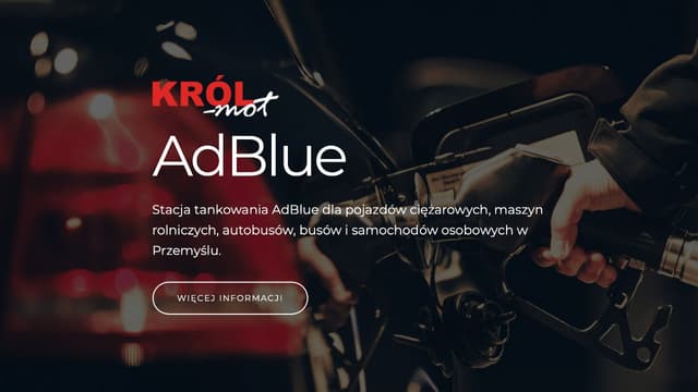Strona internetowa dla agencji turystycznej